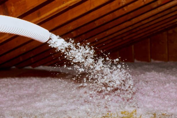 Best Fiberglass Insulation in Riviera Beach, FL