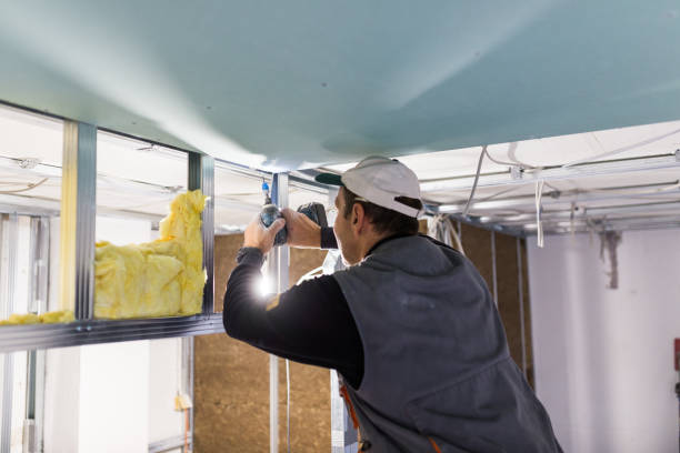 Types of Insulation We Offer in Riviera Beach, FL
