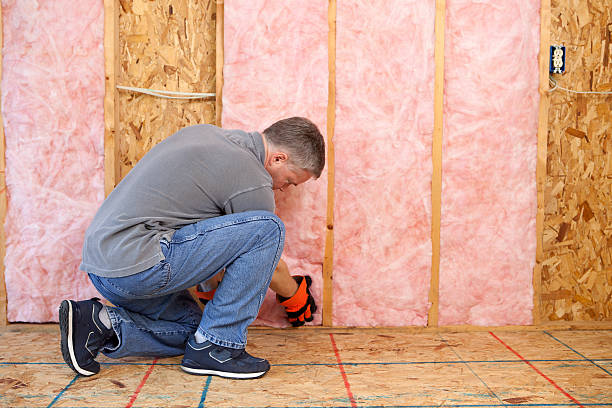 Types of Insulation We Offer in Riviera Beach, FL