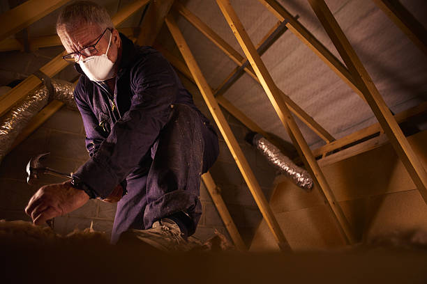 Best Eco-Friendly Insulation in Riviera Beach, FL