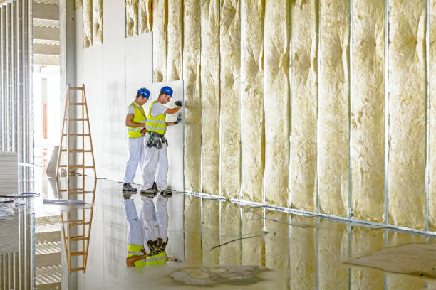 Professional Insulation Contractor in Riviera Beach, FL